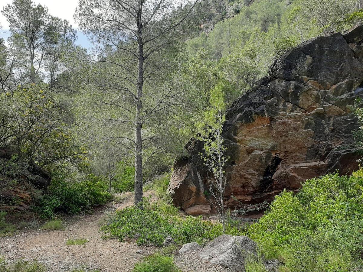 Casa di campagna La Caseta De Mollet *